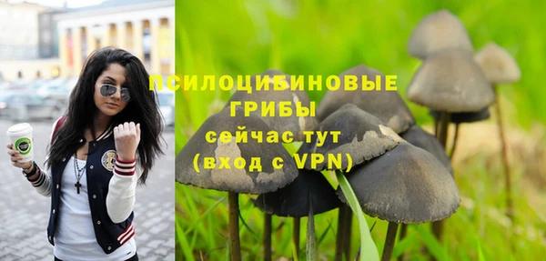 амф Липки