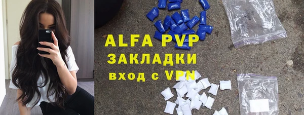 амф Липки