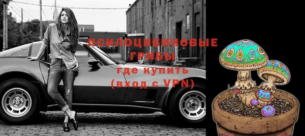 амф Липки