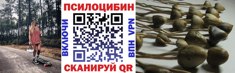 Галлюциногенные грибы Cubensis  продажа наркотиков  Ноябрьск 