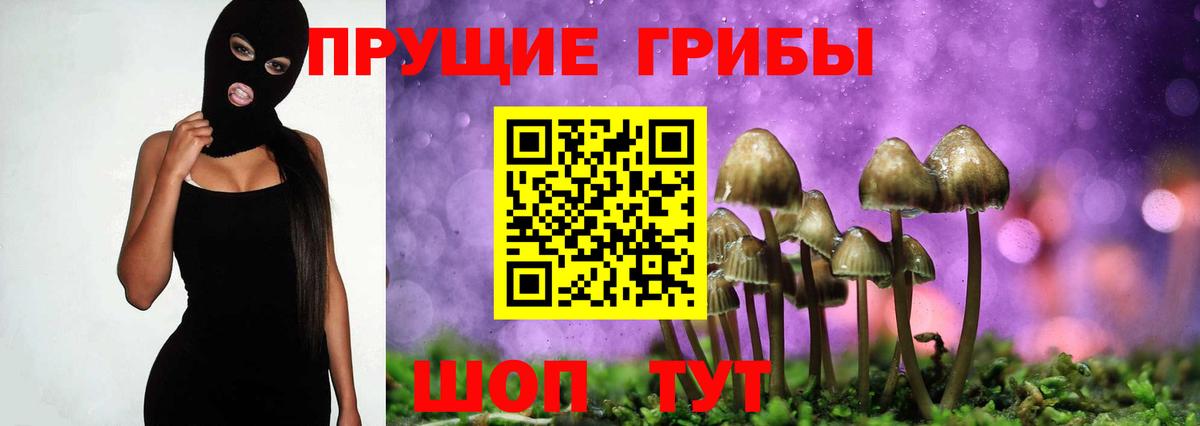 Галлюциногенные грибы Magic Shrooms  закладка  Ноябрьск  Вход с VPN 