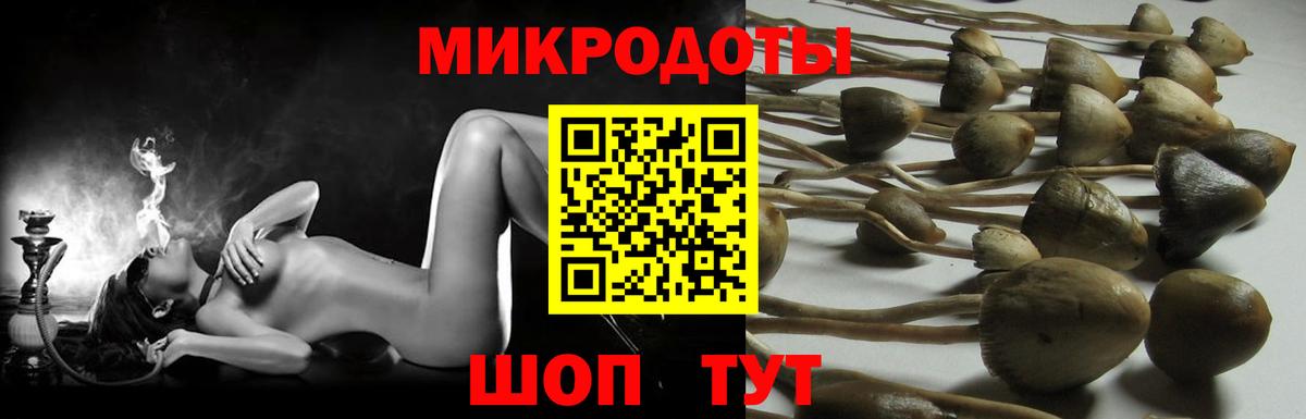Метадон Ноябрьск